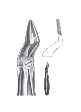 Extracting Forceps – English Pattern