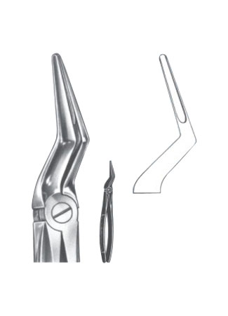 Extracting Forceps – English Pattern