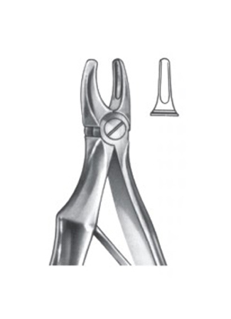 Extracting Forceps – English Pattern