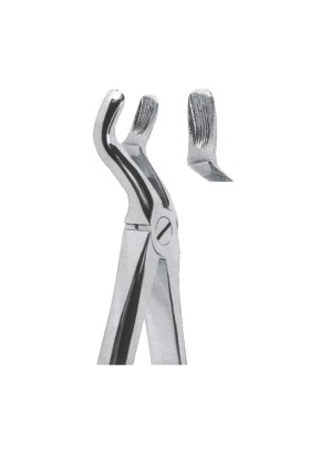 Extracting Forceps – English Pattern