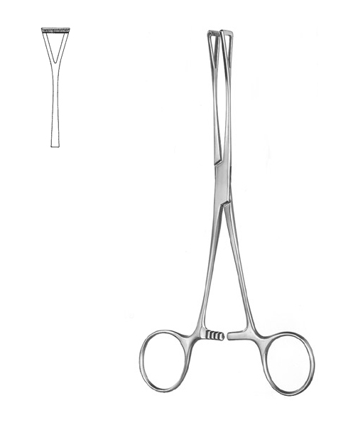 Intestinal and Tissue Grasping Forceps