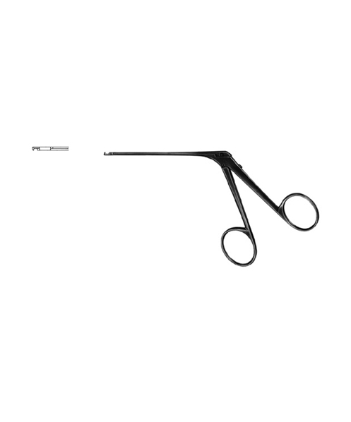 Malleus Nipper