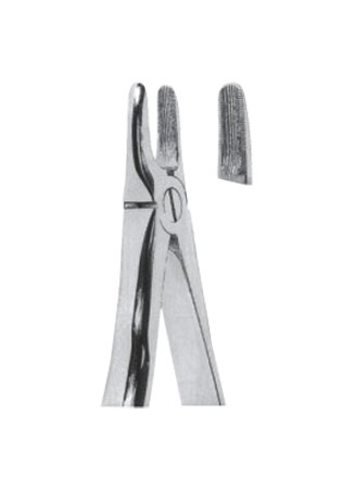 Extracting Forceps – Mead Pattern